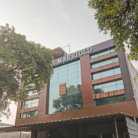 Collection O Hotel Marigold Kanpur Exterior photo