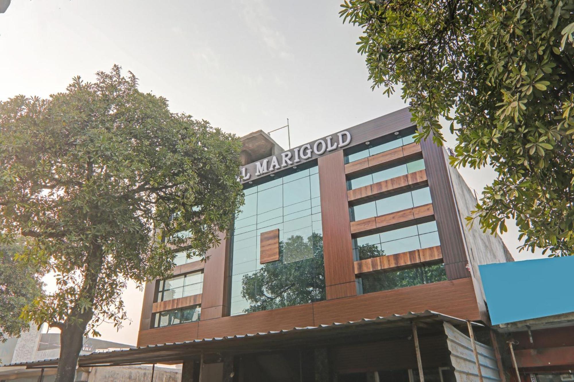 Collection O Hotel Marigold Kanpur Exterior photo